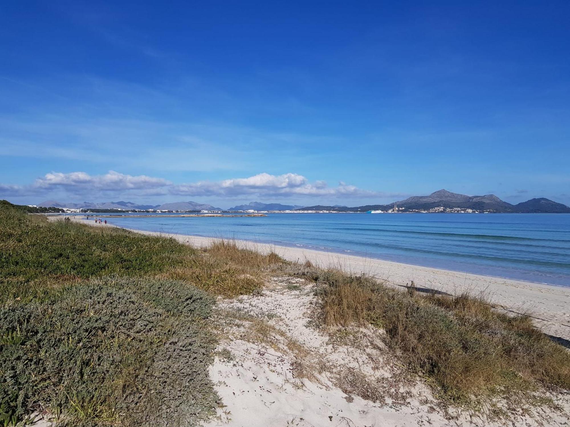 Ideal Property Mallorca - Villa Xisco Alcudia  Bagian luar foto